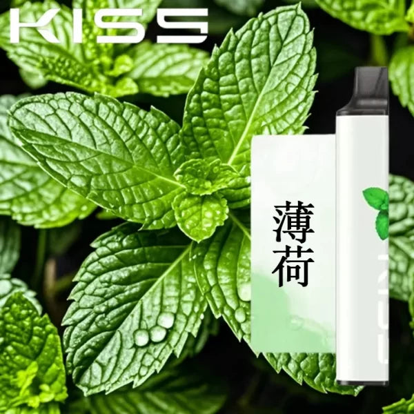 凱斯 KISS｜6500口 一次性電子煙